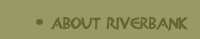 About Riverbank